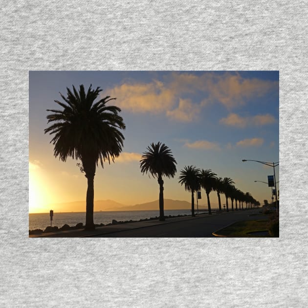 Treasure Island Sunset Palm Trees San Francisco CA by WayneOxfordPh